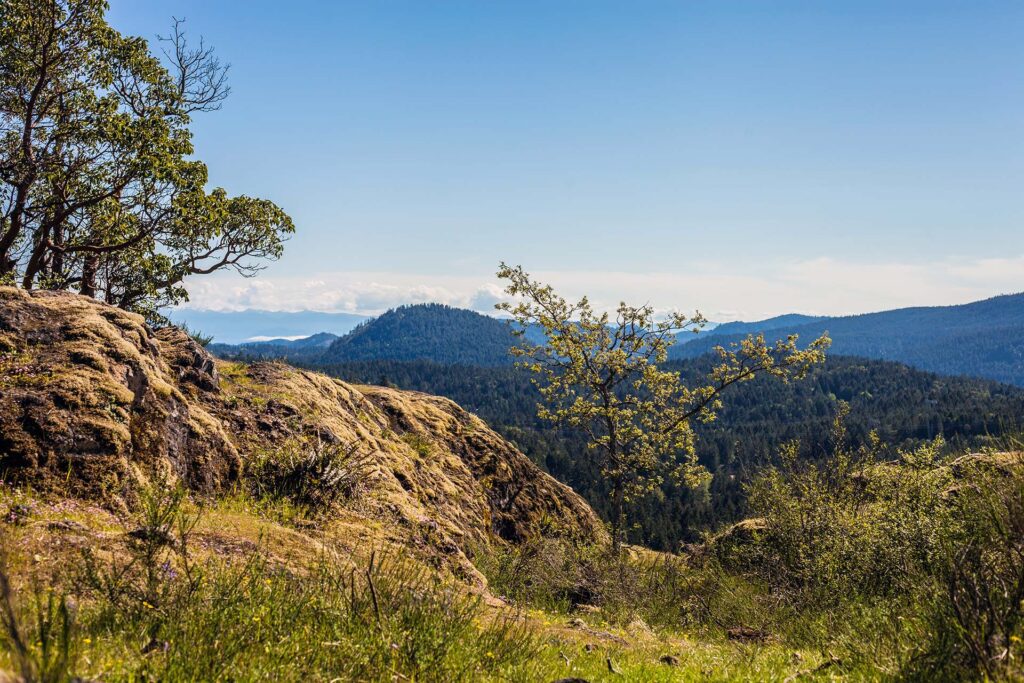 Lone Tree Hill in Langford, BC