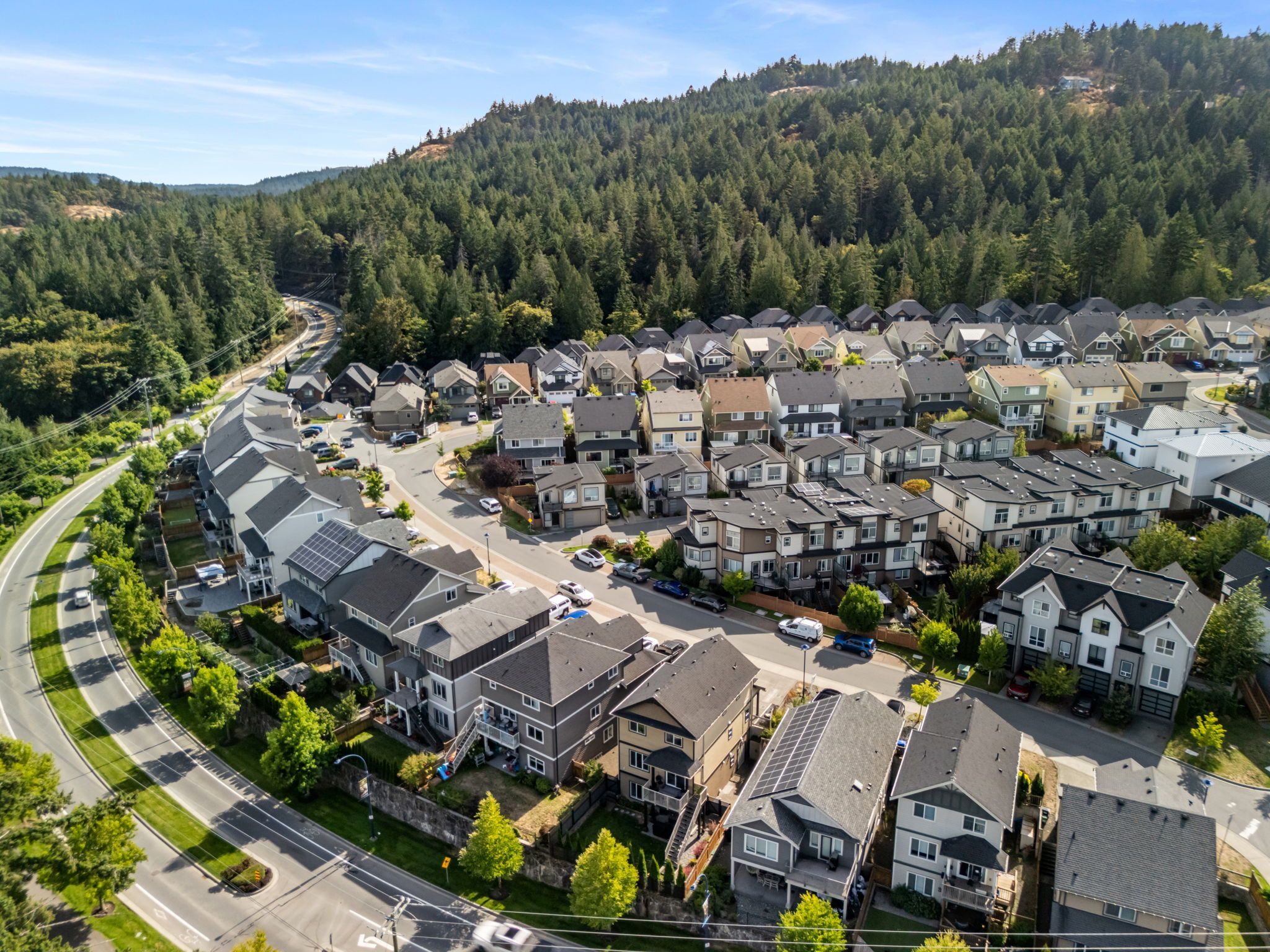 New vs. Established Homes: What to Expect in the Westshore 