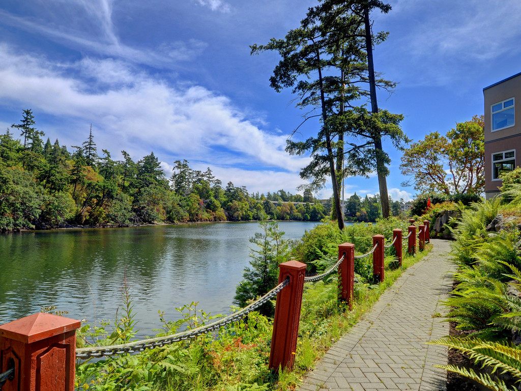 Tillicum and Gorge Neighbourhood Guide 