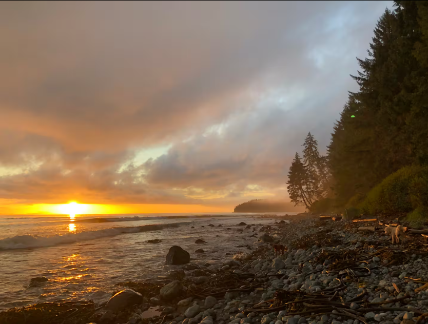 Winter Staycations: Cozy Local Escapes Close to the Westshore 