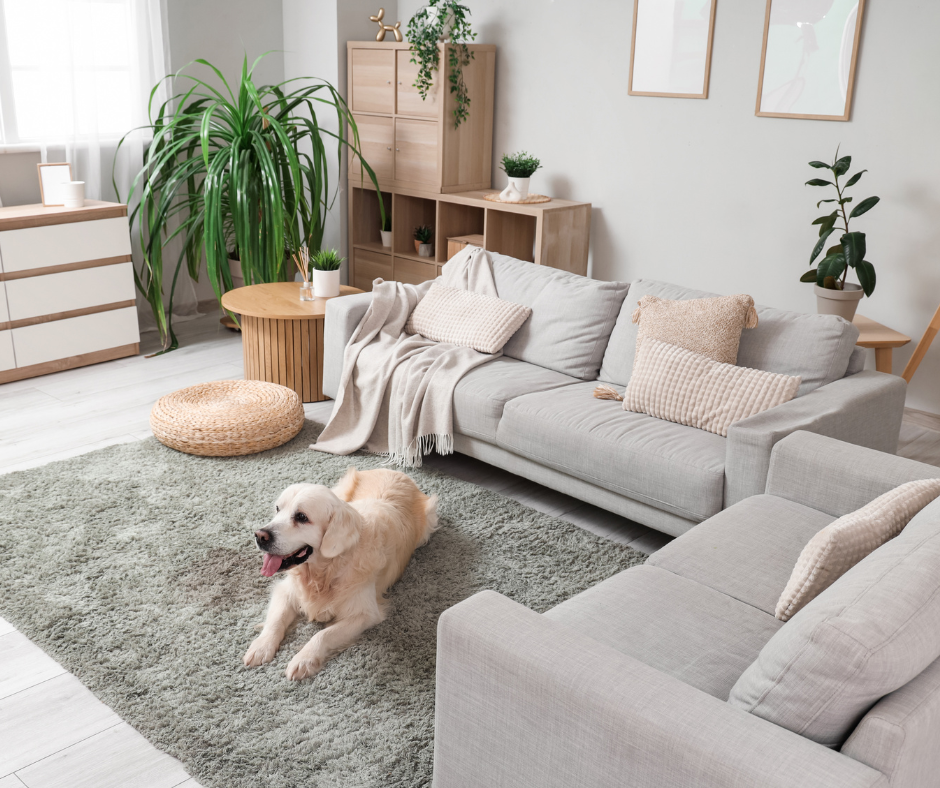 How Pets Influence Homebuying Decisions 