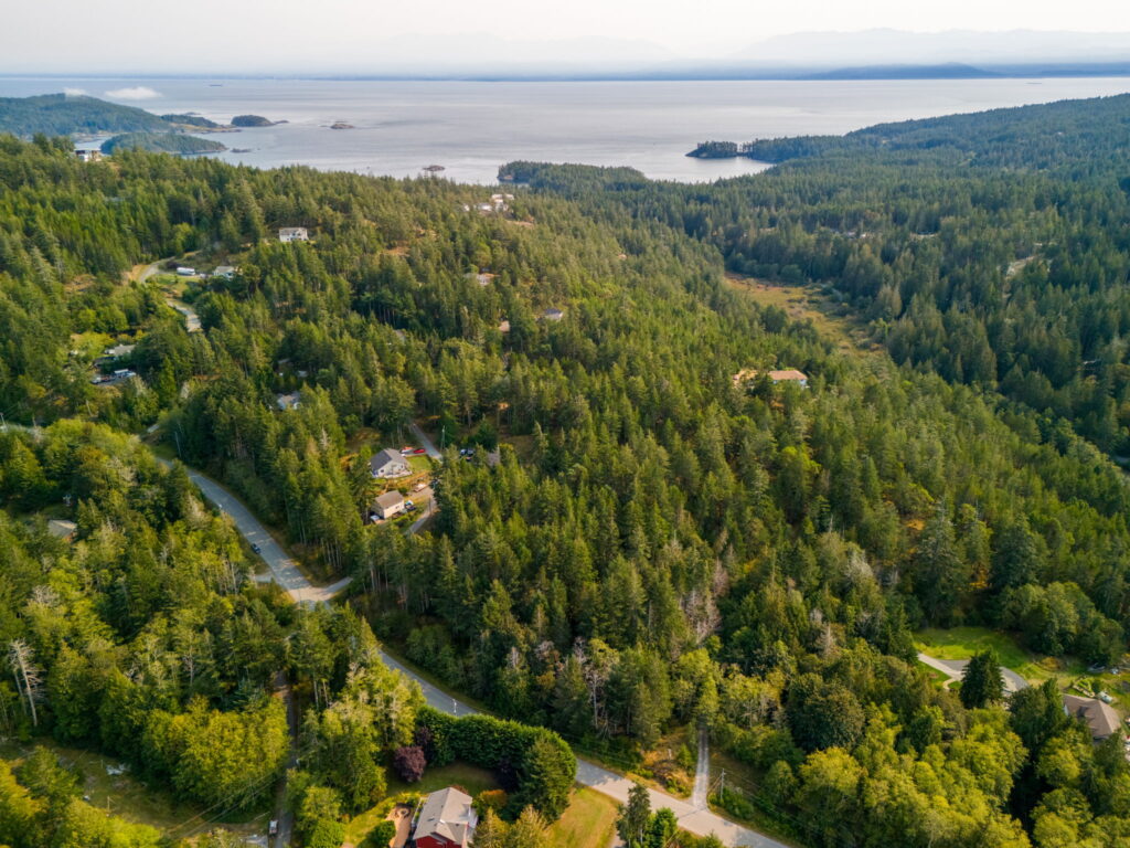 arial view of metchosin - sooke area