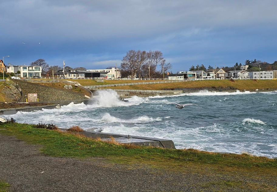 Pros and Cons of Living Near Dallas Road 