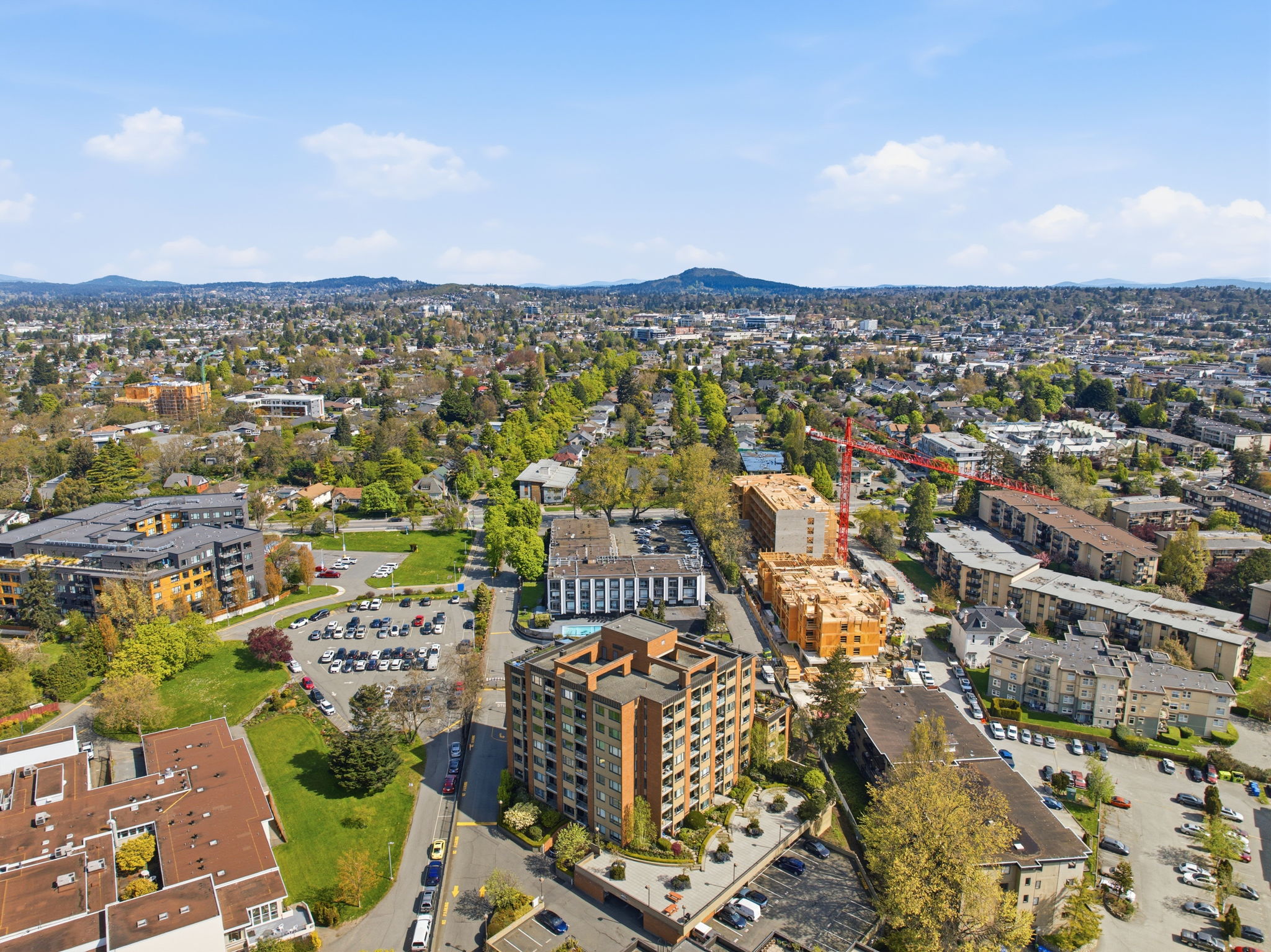 Why the Best Home Search Looks Beyond the Property Line 