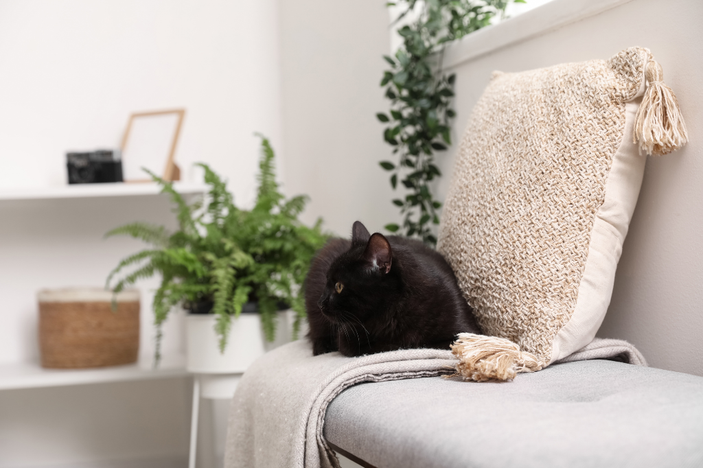 The Pet Owner’s Guide to Getting Your Home Ready to Sell 