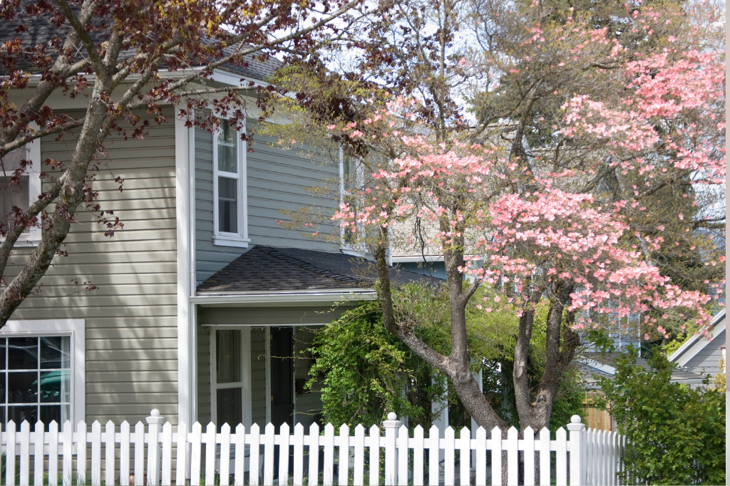 Rockland Neighbourhood Guide: Character, Location, and Long-Term Appeal 
