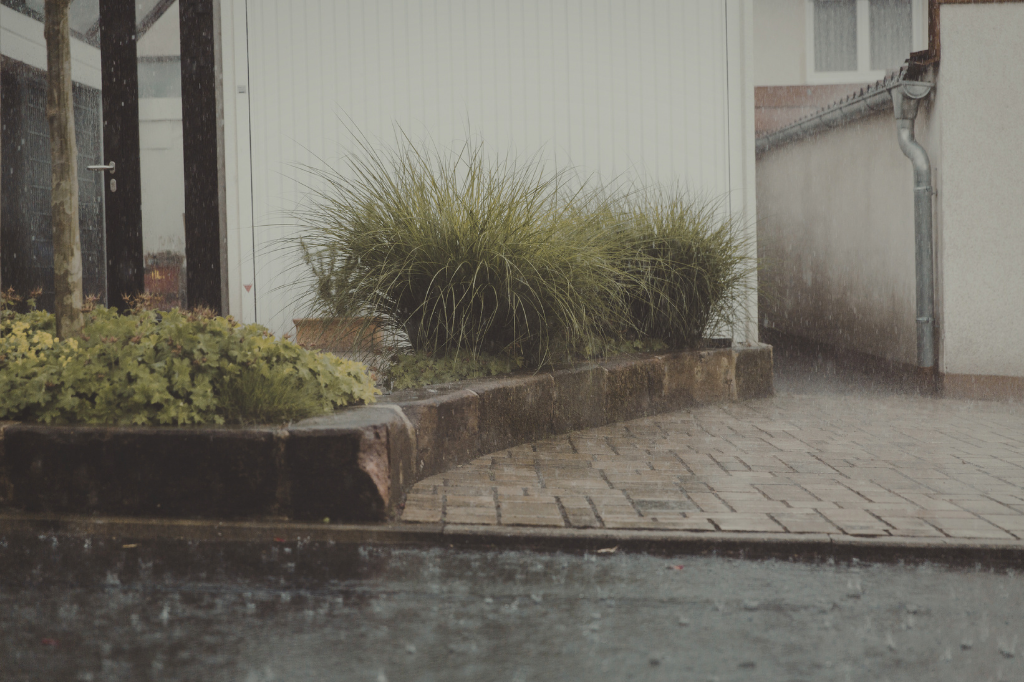 Drainage, Crawlspaces, and Basements: What Buyers Should Watch 