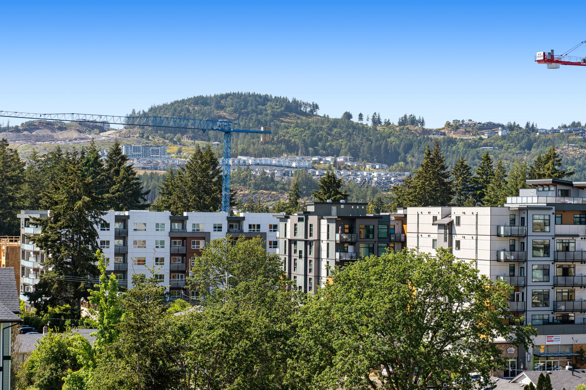 Strata vs Freehold in Greater Victoria: What Buyers Should Know 