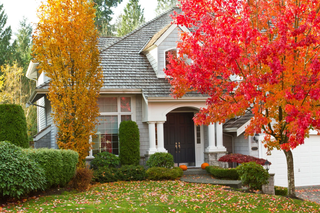 Victoria BC Real Estate Market Forecast: Fall 2026 